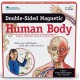 Cuerpo Humano Magnético