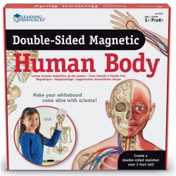 Cuerpo Humano Magnético